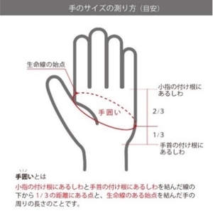 ゴルフグローブ（両手）3色セット　レディース  M