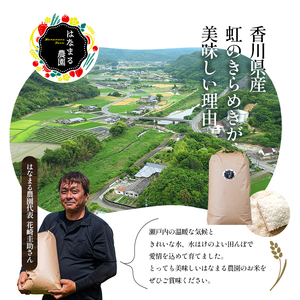 はなまる農園令和7年[再生二期作]香川県産「虹のきらめき（玄米）30kg」 玄米 お米
