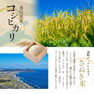 【入替え大処分売出し開始】近江米★コシヒカリ30キロ‼︎ プレミアム_玄米_1755849333693.jpg