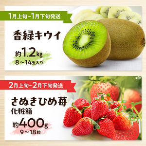 讃岐のフルーツ定期便（全10回）