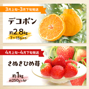 讃岐のフルーツ定期便（全10回）