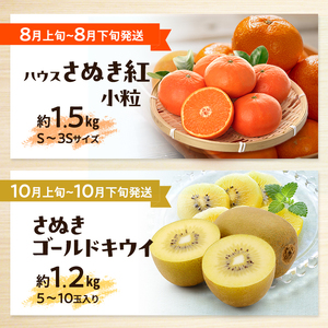 讃岐のフルーツ定期便（全10回）