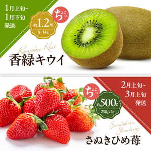 讃岐のちょこっとフルーツ定期便（全8回）【香緑キウイ】【さぬきひめ苺】【デコポン】【なつたより(びわ)】【さぬきの桃】【さぬきゴールドキウイ】【さぬきキウイっこ】【小原紅早生みかん】