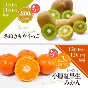 讃岐のちょこっとフルーツ定期便（全8回）【香緑キウイ】【さぬきひめ苺】【デコポン】【なつたより(びわ)】【さぬきの桃】【さぬきゴールドキウイ】【さぬきキウイっこ】【小原紅早生みかん】