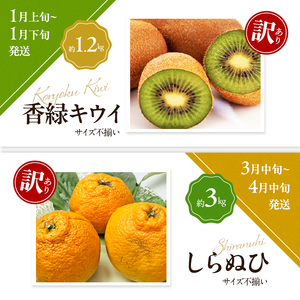 讃岐の訳ありフルーツ定期便（全8回）