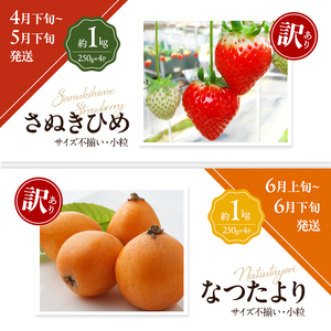 讃岐の訳ありフルーツ定期便（全8回）