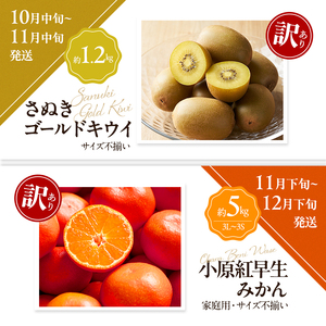 讃岐の訳ありフルーツ定期便（全8回）