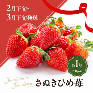 数量限定！讃岐のフルーツ定期便（全3回）【さぬきひめ苺】【温室シャインマスカット 】【温州みかん】