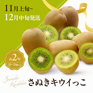 讃岐のフルーツ3回定期便【B】【さぬきひめ苺】【シャインマスカット】【さぬきキウイっこ】