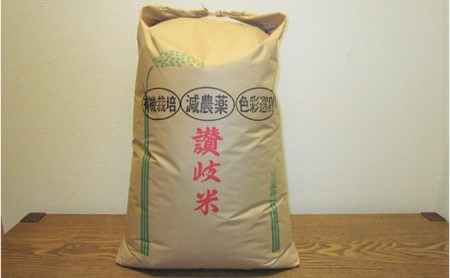 【令和6年 新米10kg×3袋（玄米）】有機肥料で愛情いっぱいに育てた「こしひかり」