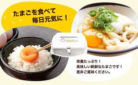 東かがわ市のたまご「鶏卵Mサイズ(10個×5P)」