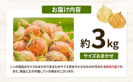訳ありそのまんま玉ねぎ　約3kg