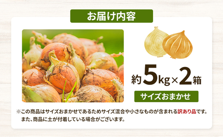 訳ありそのまんま玉ねぎ　約10kg