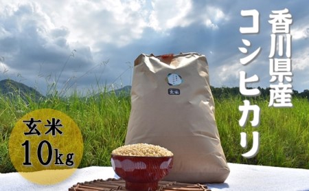 令和3年 ふじもとファームの新米予約【コシヒカリ(玄米)10kg】