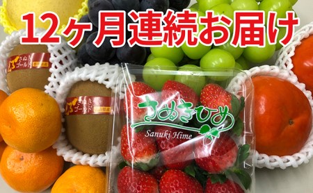 讃岐のフルーツ12回定期便
