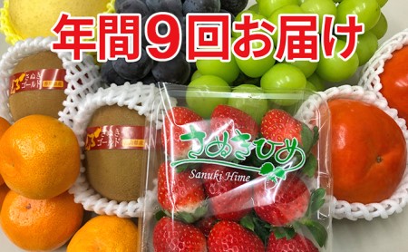 讃岐のフルーツ9回定期便