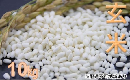 東かがわ市産もち米（クレナイ）玄米10kg【令和5年産】自家栽培米