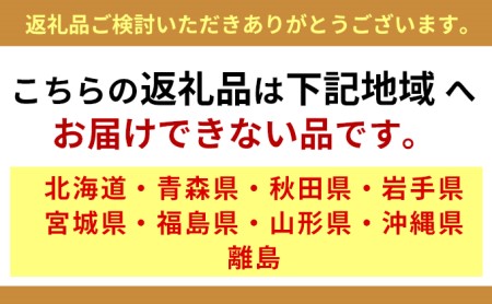 お試し　和三盆ブレッド　1本　※2024年12月から発送