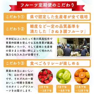 讃岐の フルーツ 年3回 定期便