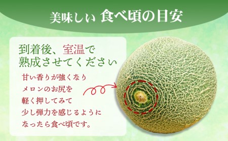 幸せの「タカミメロン」1玉（大玉） フルーツ 果物 
