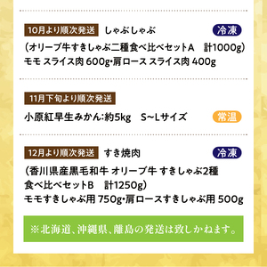 定期便 プレミアムコラボ オリーブ牛 フルーツ お肉 果物 待望の