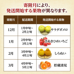 定期便 おすすめ ギフト フルーツ 果物 フルーツ食べきり定期便年12回_M02-0204