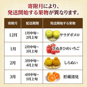 定期便 おすすめ ギフト フルーツ 果物 フルーツ食べきり定期便年12回【配送不可地域：北海道・沖縄県・離島】_M02-0204 定期便 定期便 定期便 定期便 定期便 定期便 定期便 定期便 定期便 定期便 定期便 定期便 定期便 定期便 定期便 定期便 定期便 定期便 定期便 定期便 定期便 定期便 定期便 定期便 定期便 定期便 定期便 定期便 定期便 定期便 定期便 定期便 定期便 定期便 定期便 定期便 定期便 定期便 定期便 定期便 定期便 定期便 定期便 定期便 定期便 定期便 定期便 定期便 定期便 定期便 定期便 定期便 定期便 定期便 定期便 定期便 定期便 定期便 定期便 定期便 定期便 定期便 定期便 定期便 定期便 定期便 定期便 定期便 定期便 定期便 定期便 定期便 定期便 定期便 定期便 定期便 定期便 定期便 定期便 定期便 定期便 定期便 定期便 定期便 定期便 定期便 定期便 定期便 定期便 定期便 定期便 定期便 定期便 定期便 定期便 定期便 定期便 定期便 定期便 定期便 定期便 定期便 定期便 定期便 定期便 定期便 定期便 定期便 定期便 定期便 定期便 定期便 定期便 定期便 定期便 定期便 定期便 定期便 定期便 定期便 定期便 定期便 定期便 定期便 定期便 定期便 定期便 定期便 定期便 定期便 定期便 定期便 定期便 定期便 定期便 定期便