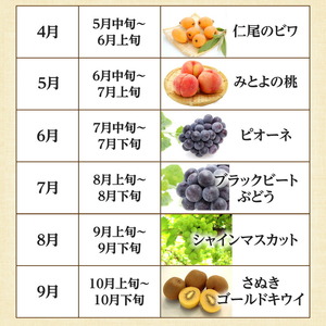 定期便 おすすめ ギフト フルーツ 果物 フルーツ食べきり定期便年12回_M02-0204