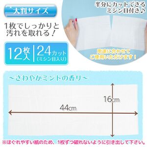 【ふるさと納税】GN超厚流せるトイレクリーナー大判(12枚×2パック)×20袋