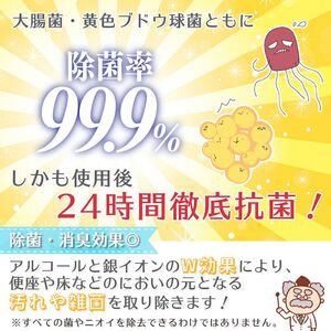 GN超厚流せるトイレクリーナー大判(12枚×2パック)×40袋×2