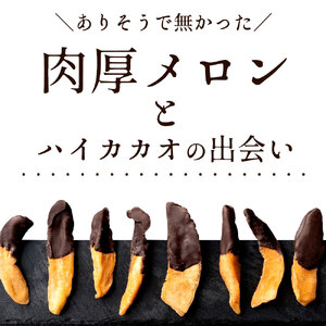 【10月～4月配送限定】高級フルーツと高級チョコのコラボ お取り寄せスイーツ メロンジェット 200g_MH140-0065-200  チョコ チョコレート 割れチョコ スイーツ お菓子 御菓子 洋菓子