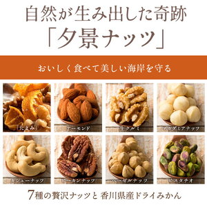【ふるさと納税】【ゆうパケット】父母ヶ浜MIXナッツ 500g(250g×2)