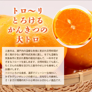 【ふるさと納税】せとか 三豊市産 約5kg