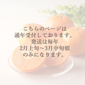 【ふるさと納税】せとか 三豊市産 約5kg