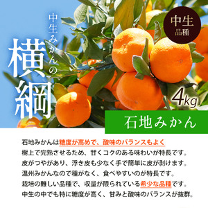 【2025年出荷】石地みかん 4kg【配送不可地域：北海道・沖縄県・離島】_M160-0021-2 【国産みかん 温州みかん みかん 露地みかん 小玉みかん ミカン 蜜柑 甘いみかん おすすめみかん】