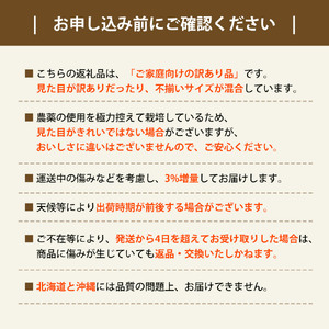 晩生みかん 7kg【配送不可地域：北海道・沖縄県・離島】_M160-0021-10  【国産みかん 温州みかん みかん 露地みかん 小玉みかん ミカン 蜜柑 甘いみかん おすすめみかん】