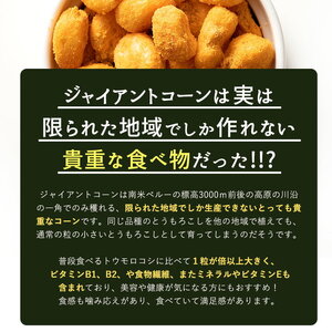 おつまみジャイコンズカレー250g_MH140-0062-5 御菓子 おかし お菓子 ジャイアントコーン