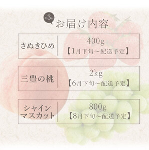 フルーツ定期便 3回 三豊市 さぬきひめいちご 400g 特大シャインマスカット 800g 三豊の桃　2kg【配送不可地域：北海道・沖縄県・離島】_M02-0208   フルーツ定期便 旬のフルーツセット / フルーツ 定期便 ふるーつ定期便 フルーツ 詰め合わせ 果物定期便 春フルーツ 夏フルーツ 秋フルーツ 冬フルーツ