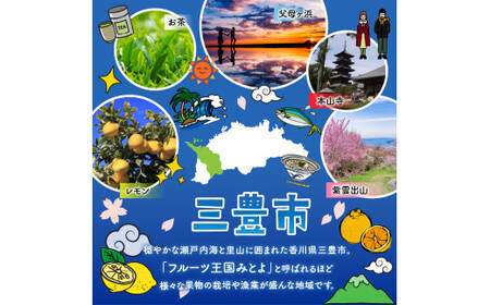 和三盆ビーントゥバーのクッキーセット