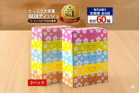 プラムファッション BOXティッシュ 5箱×2パック 合計10箱 ティッシュペーパー 定期便 毎月 全6回