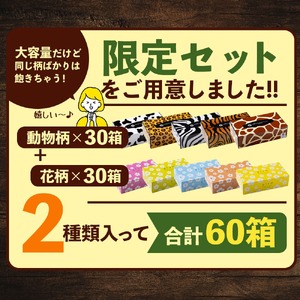 【ふるさと納税】プラムファッション/ANIMAL Boxティッシュセット 5箱×6パック×2種 合計60箱