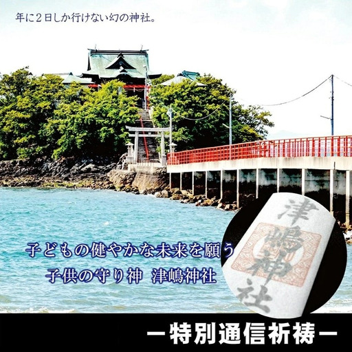 【小児守護神 津嶋神社】特別通信祈祷～子ども厄除け祈願～（授与品：御神札・御守り・撤饌・祈祷証明書）