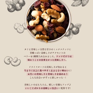 【ふるさと納税】【納税】焙煎ミックスナッツ(トレール) 500g