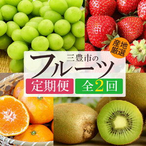 【2回定期便】シャインマスカット＆グリーンキウイ