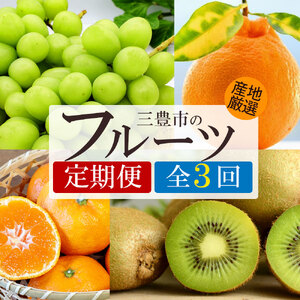 【3回定期便】シャインマスカットと グリーンキウイ・旬のフルーツ (デコポン)