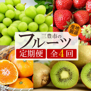 【4回定期便】シャインマスカット入り 旬のフルーツ定期便(温州みかん極早生)
