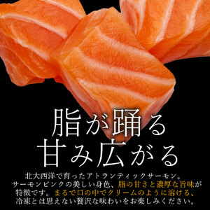 【ふるさと納税】アトランティックサーモン 1kg