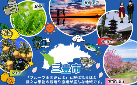 焙煎ミックスナッツ 4種 無塩 500g 毎月 定期便 全6回