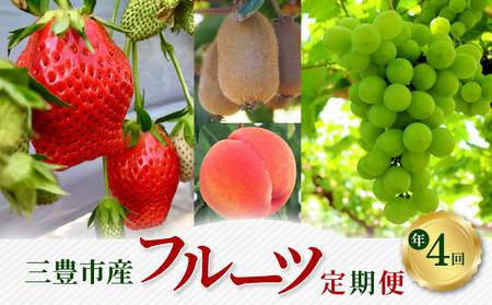 人気の厳選フルーツプレミアム定期便(年4回)