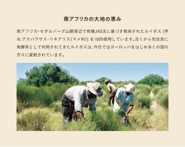 有機栽培ルイボス茶(3袋セット)